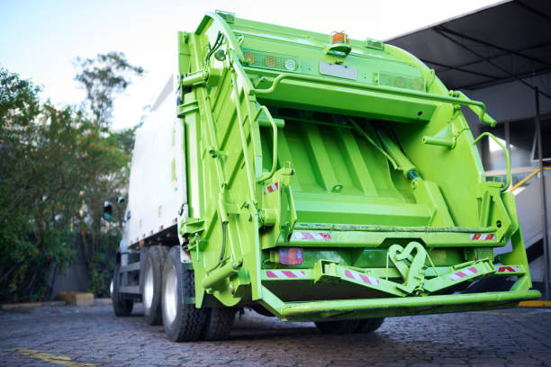 Yard Cleanup Services in Lemon Hill, CA
